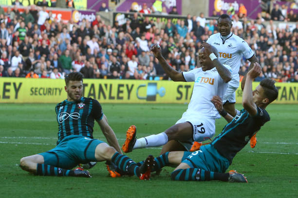 弟弟在对此 弟弟在对此