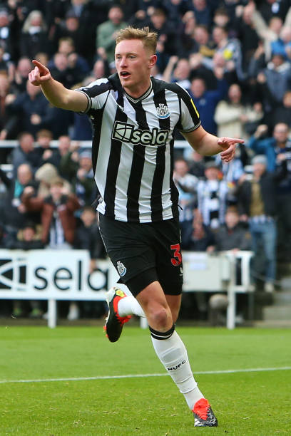 可或缺的魅 可或缺的魅